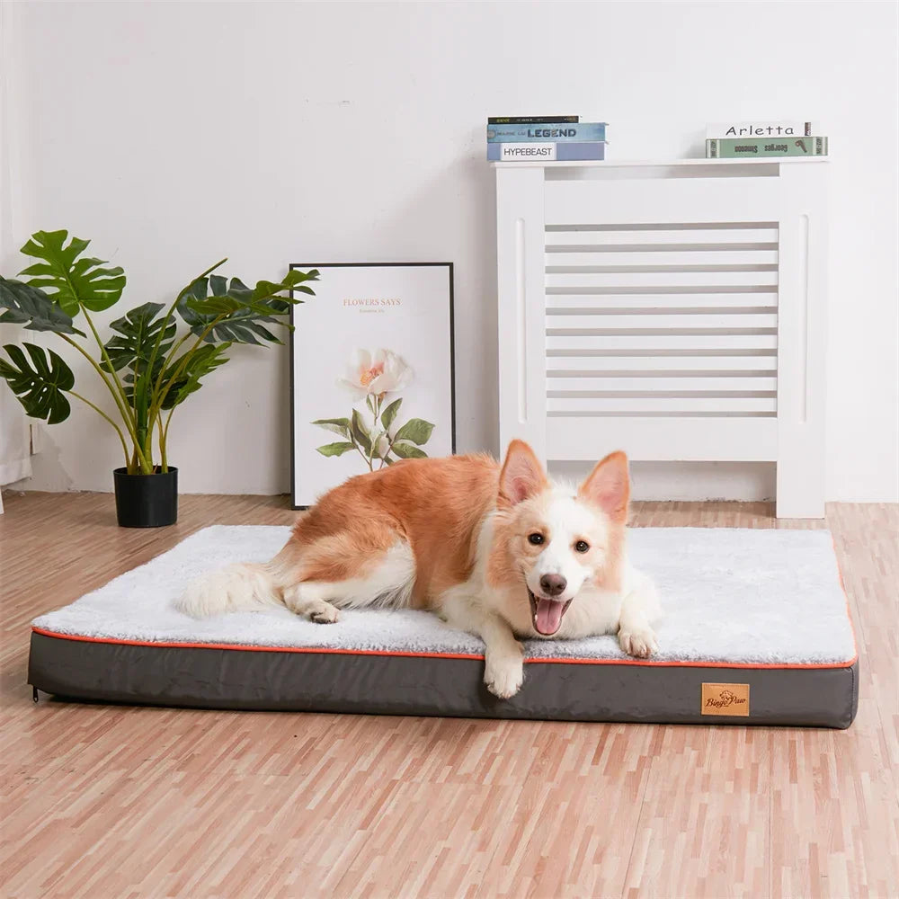 Happy dog lying on a plush orthopedic pet bed in a cozy modern room with decor