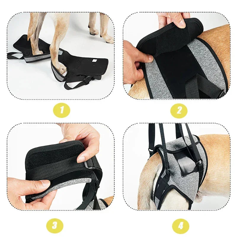 Dog support lift harness step-by-step instructions, adjustable gray and black pet sling