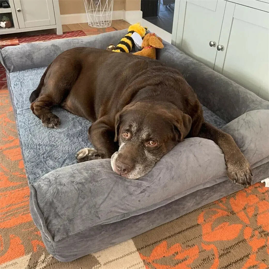 Large chocolate Labrador retriever lying on plush gray dog bed with toys in cozy home setting