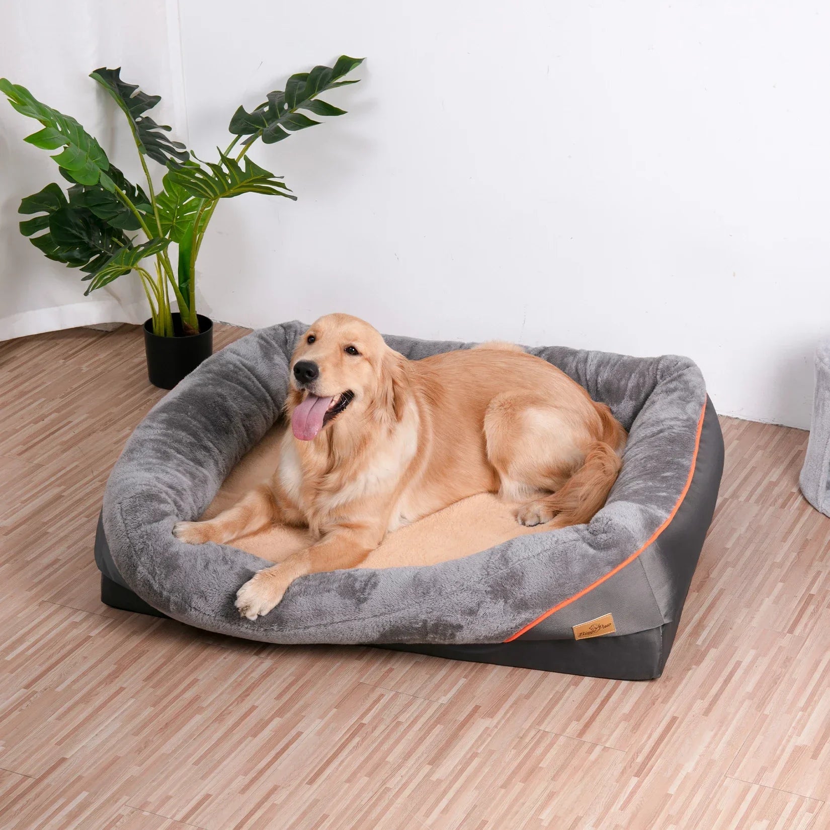 Golden retriever lying on a large gray plush dog bed in modern indoor setting
