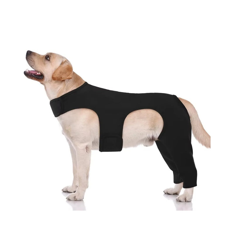 Labrador dog wearing black full-body recovery suit on white background